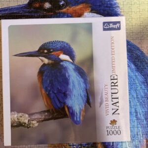 Puzzle Trefl 1000 "Vivid Beauty - Kingfisher"