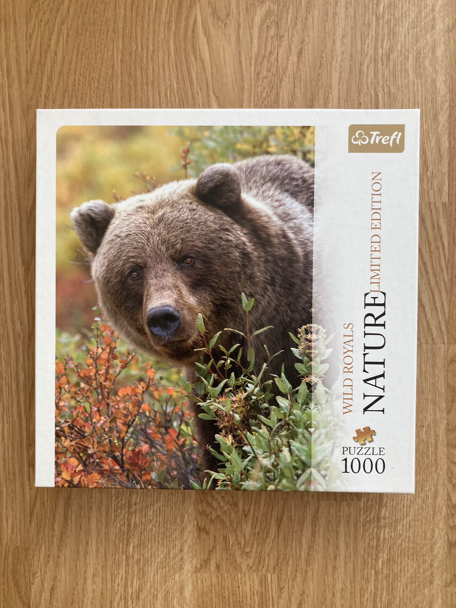 Puzzle Trefl 1000 "Wilde Royals- Grizzly"