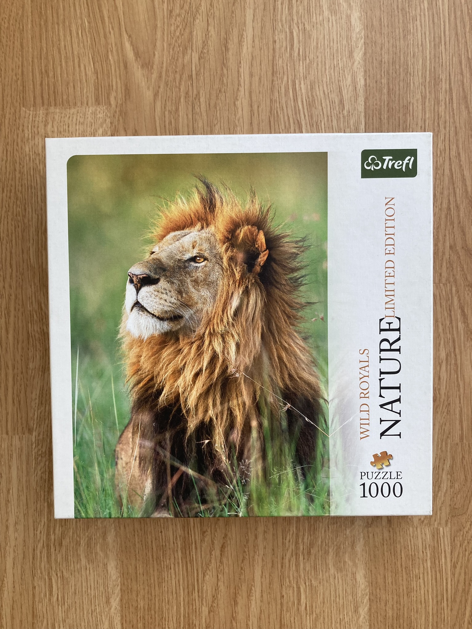 Puzzle Trefl 1000 "Wilde Royals- Lion"